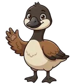 Kiki the Canadian goose